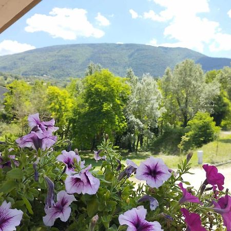 Pianpieve Nature & Relax Apartments Ассизи Экстерьер фото