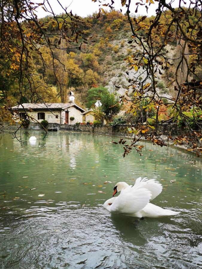 Pianpieve Nature & Relax Apartments Ассизи Экстерьер фото