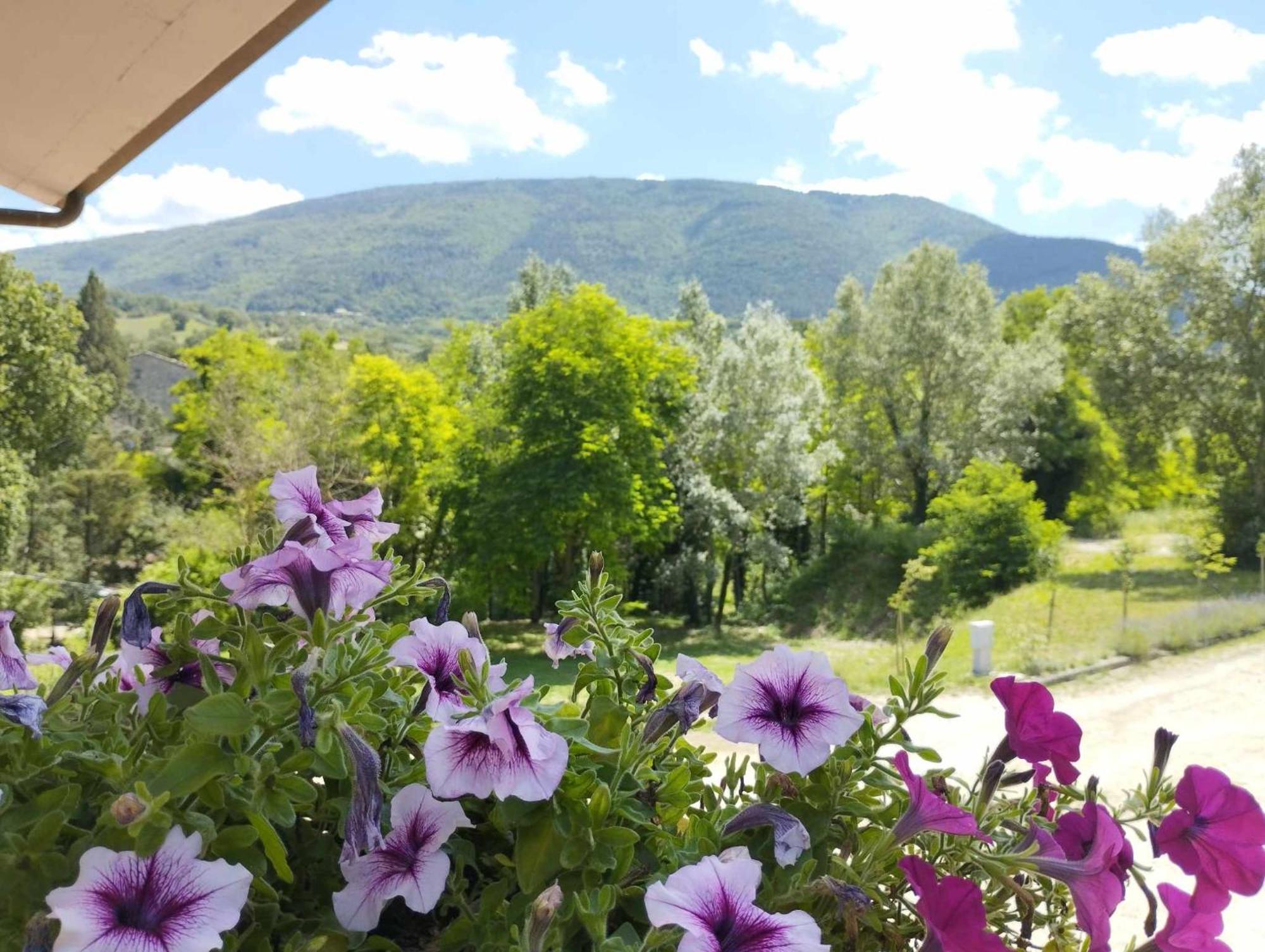 Pianpieve Nature & Relax Apartments Ассизи Экстерьер фото