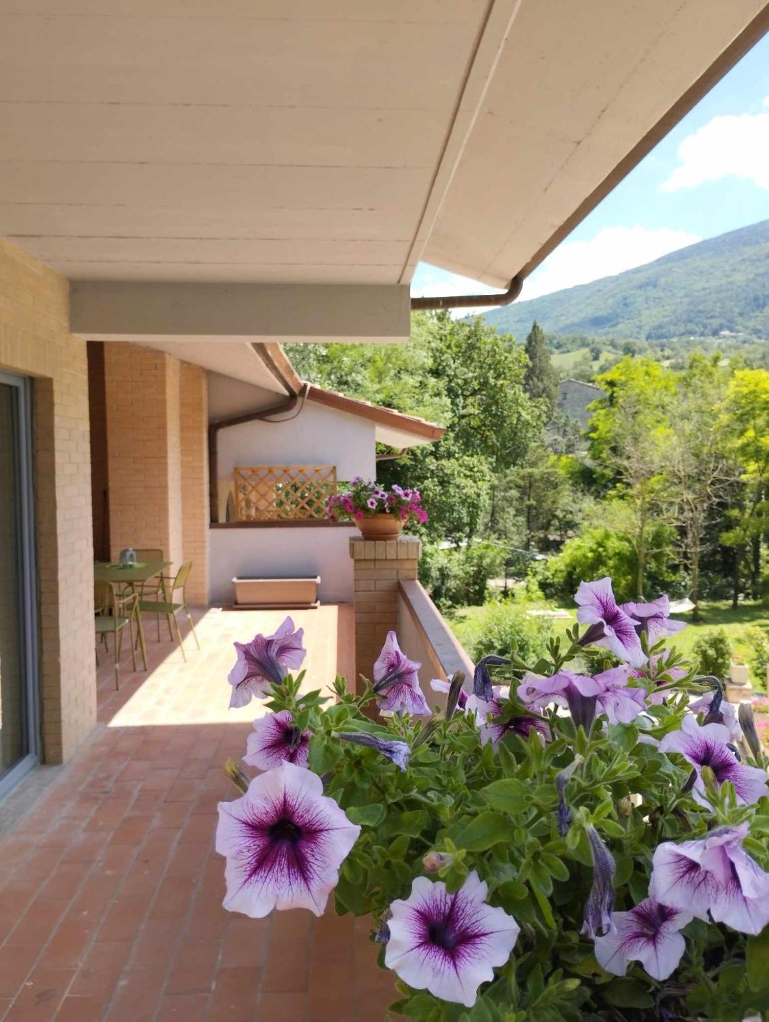 Pianpieve Nature & Relax Apartments Ассизи Экстерьер фото