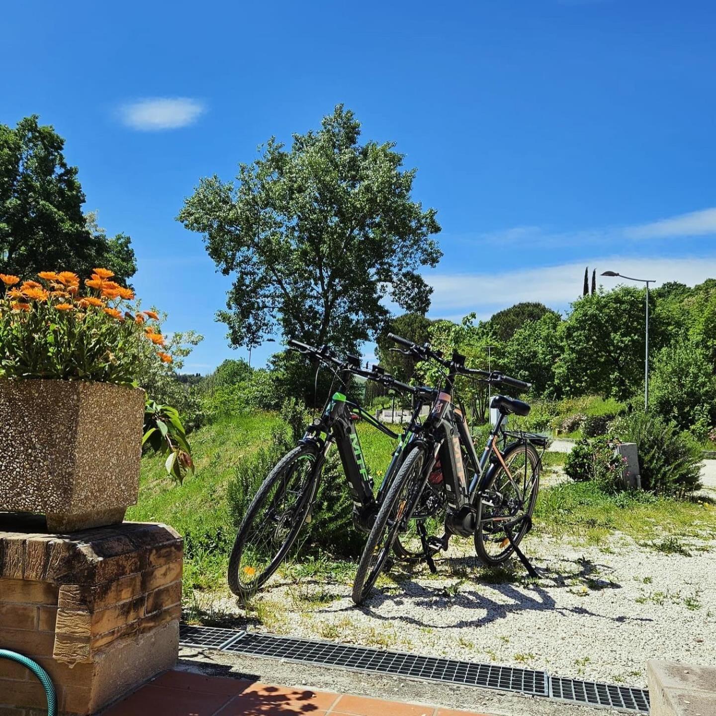 Pianpieve Nature & Relax Apartments Ассизи Экстерьер фото